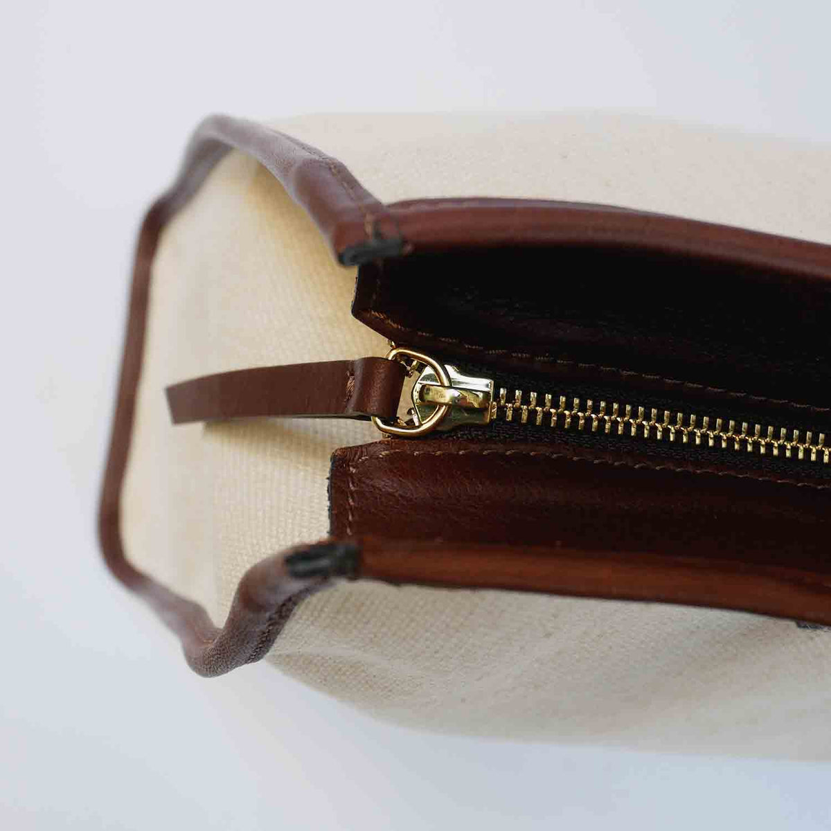 Massima Medium Tote Canvas and Leather